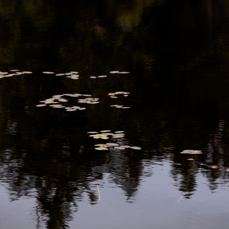 Photograph by Edede Oiwoh