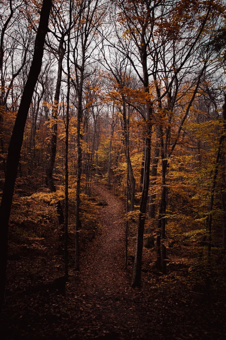 Photograph by Edede Oiwoh