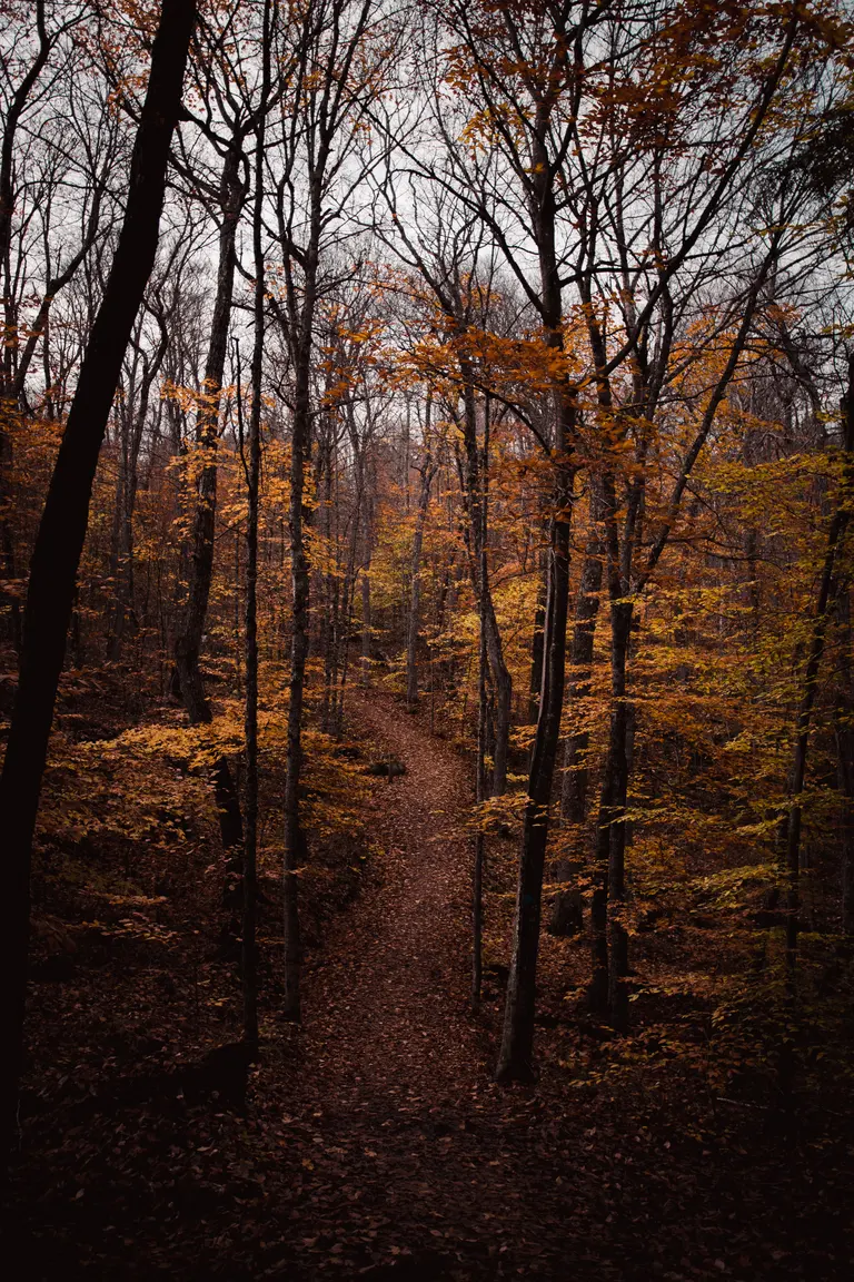 Photograph by Edede Oiwoh