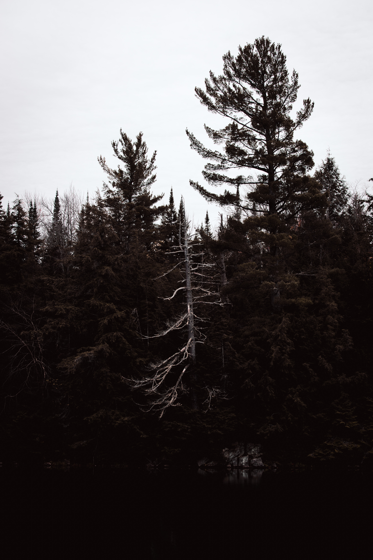 Photograph by Edede Oiwoh