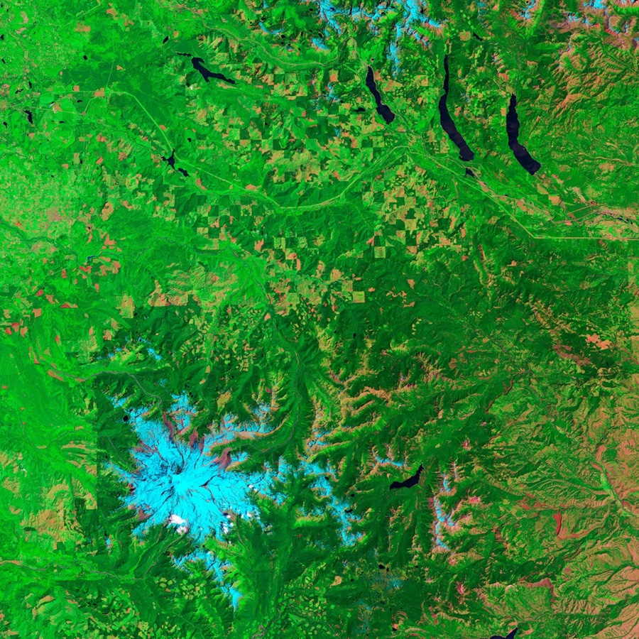 Forested hills in Washington State, with pale green and reddish clearings scattered among dark green forest.