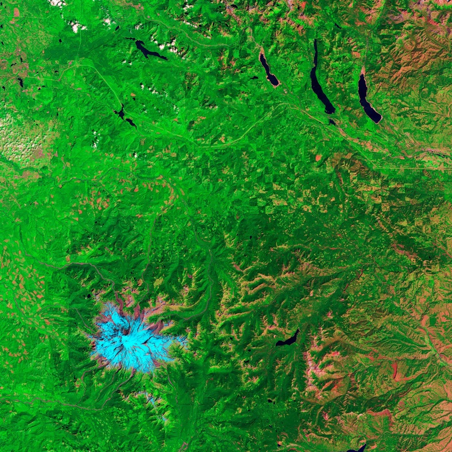 The same hills in 2010: many earlier clearings are green again, while different patches have been cleared.